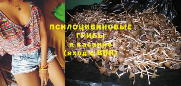 2c-b Балабаново