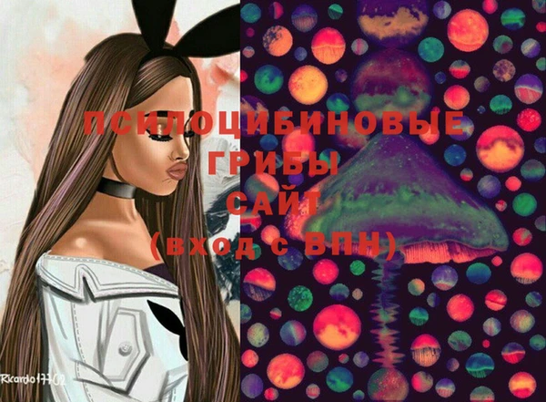 2c-b Балабаново