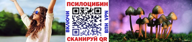 купить   Теберда  Галлюциногенные грибы мицелий 